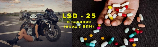 эйфоретик Бородино