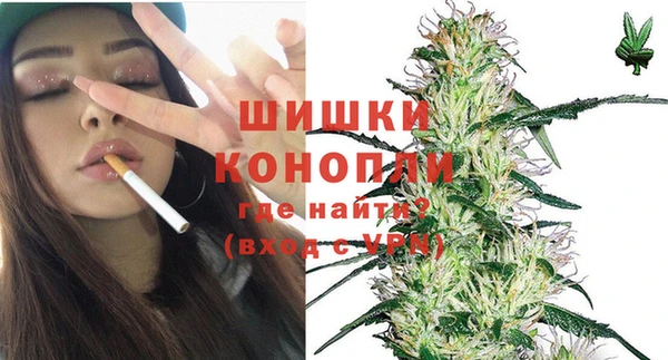 эйфоретик Бородино