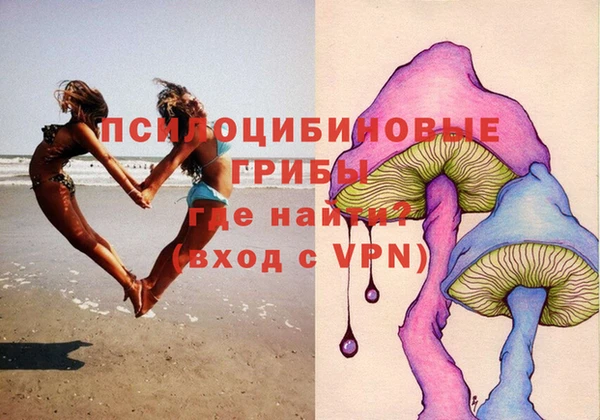 эйфоретик Бородино