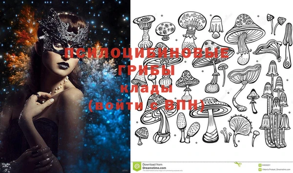 эйфоретик Бородино