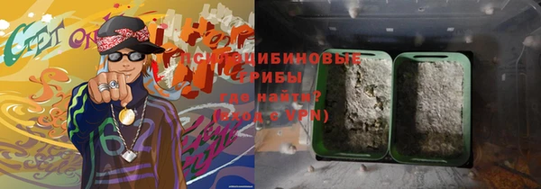 эйфоретик Бородино