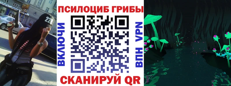 Купить закладки  Магас  Псилоцибиновые грибы GOLDEN TEACHER 